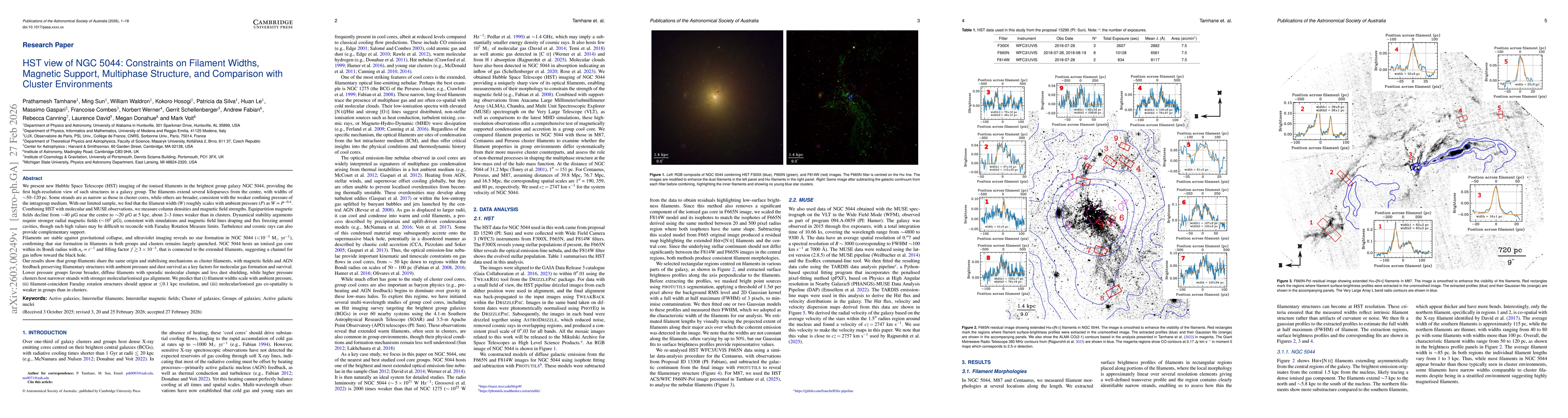 Thumbnail for HST view of NGC 5044: Constraints on Filament Widths, Magnetic Support, Multiphase Structure, and Comparison with Cluster Environments