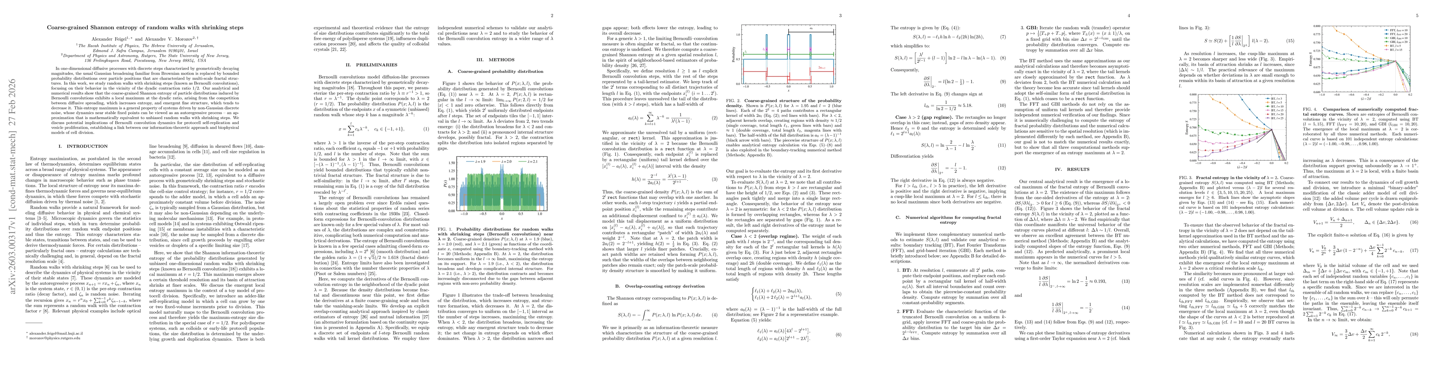 Thumbnail for Coarse-grained Shannon entropy of random walks with shrinking steps