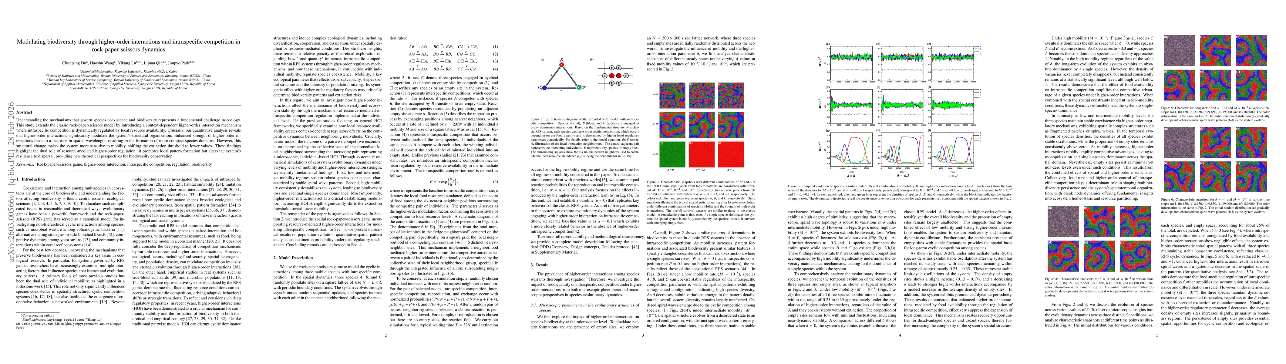 Thumbnail for Modulating biodiversity through higher-order interactions and intraspecific competition in rock-paper-scissors dynamics