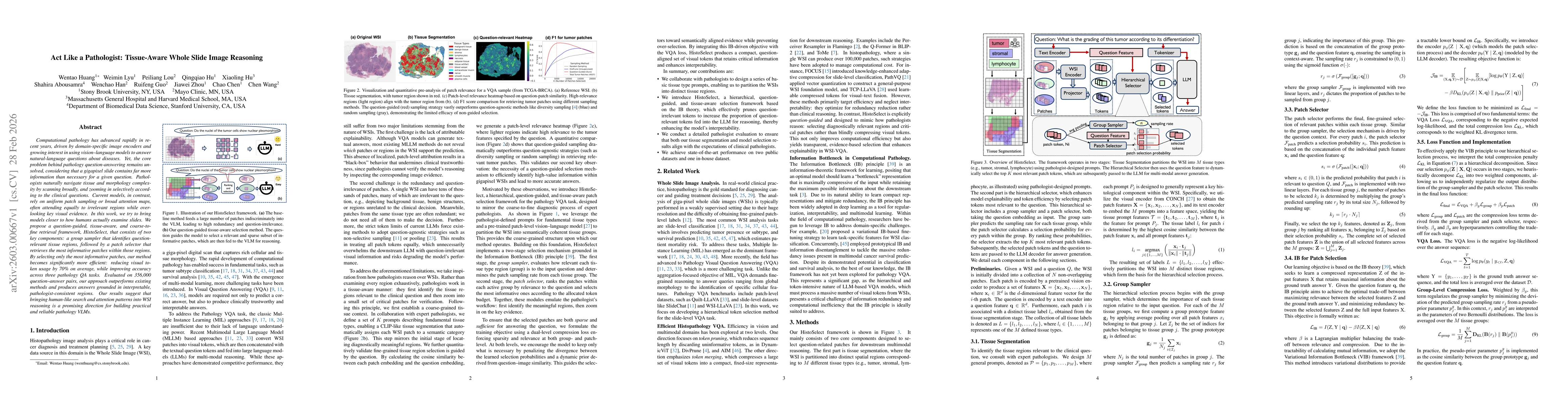 Thumbnail for Act Like a Pathologist: Tissue-Aware Whole Slide Image Reasoning