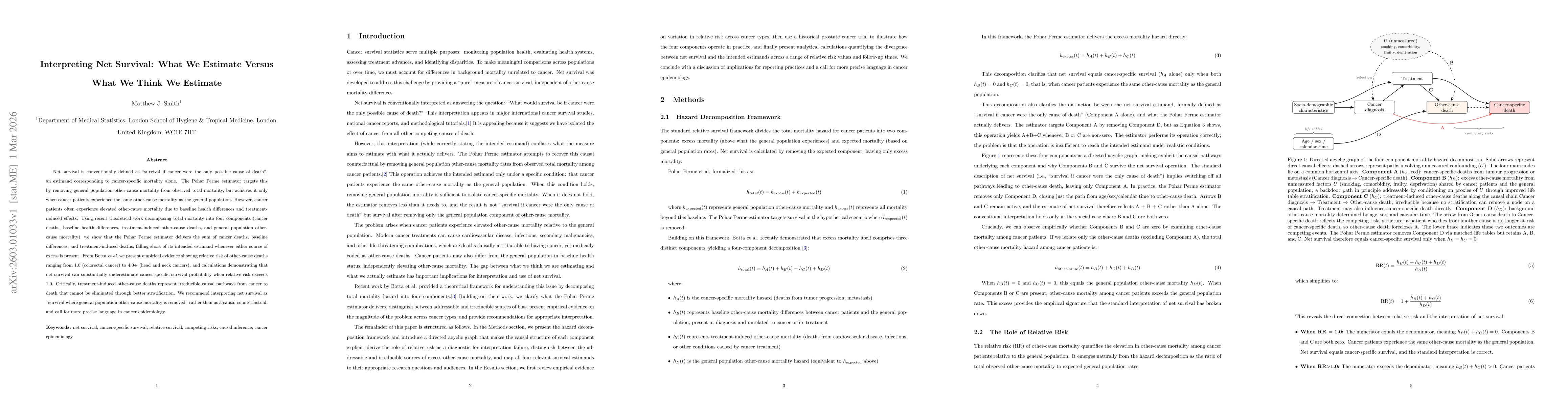 Thumbnail for Interpreting Net Survival: What We Estimate Versus What We Think We Estimate