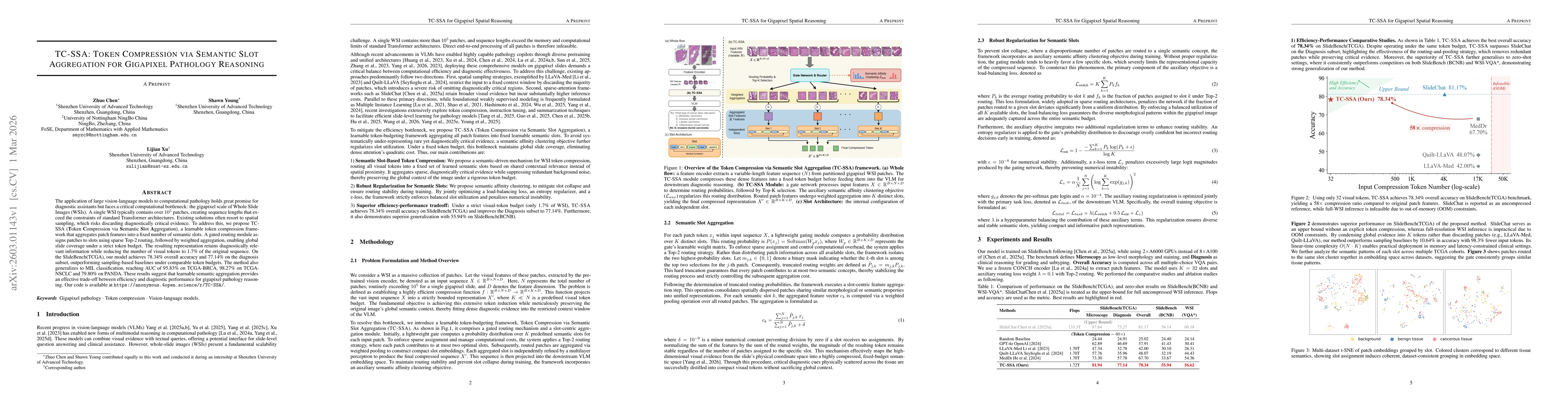 Thumbnail for TC-SSA: Token Compression via Semantic Slot Aggregation for Gigapixel Pathology Reasoning