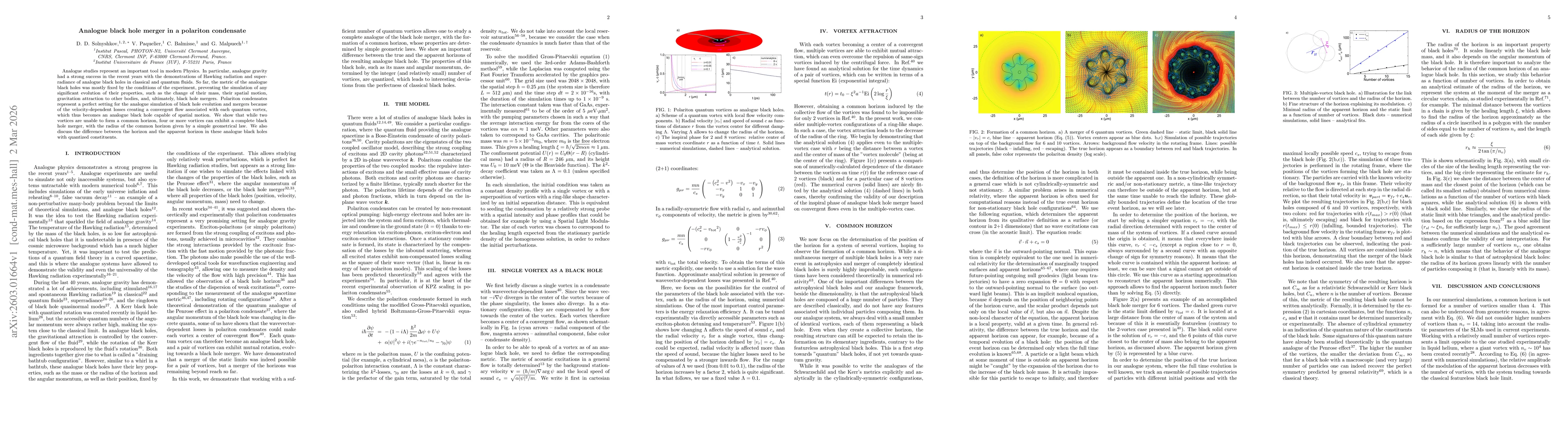 Thumbnail for Analogue black hole merger in a polariton condensate
