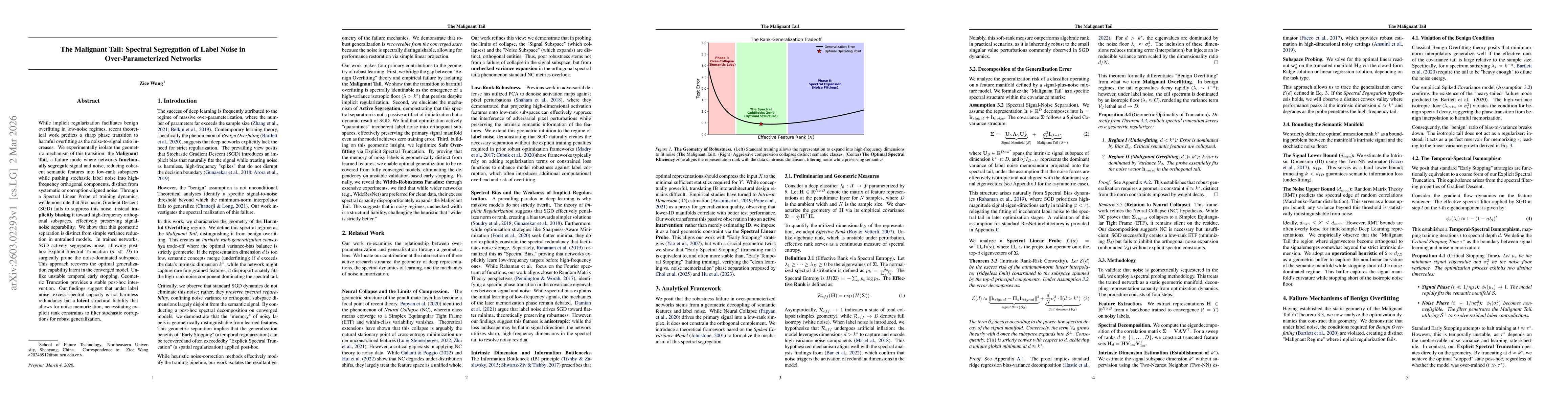 Thumbnail for The Malignant Tail: Spectral Segregation of Label Noise in Over-Parameterized Networks