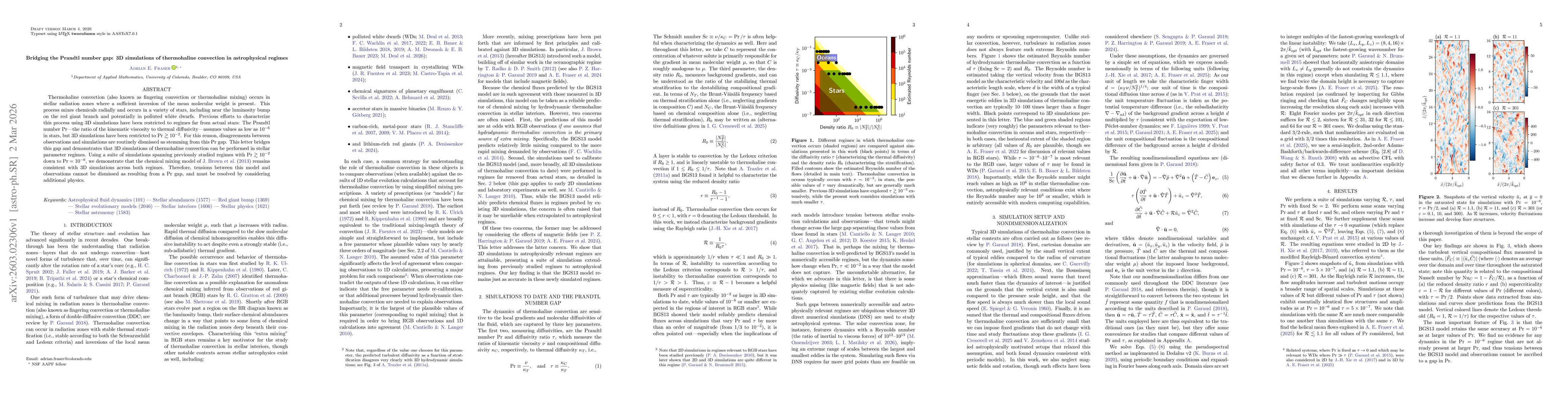 Thumbnail for Bridging the Prandtl number gap: 3D simulations of thermohaline convection in astrophysical regimes