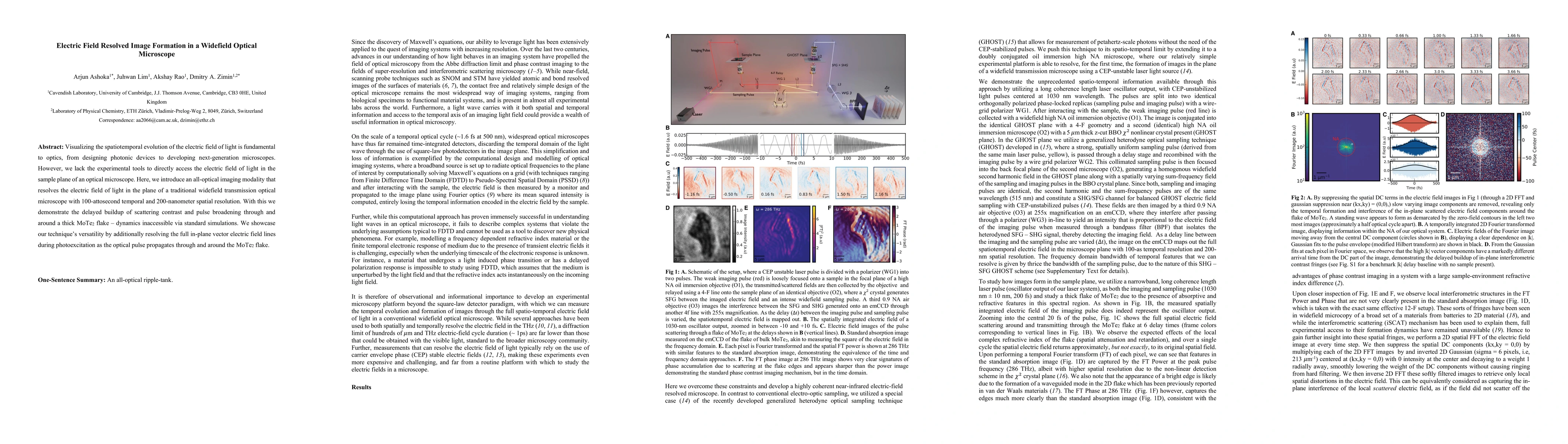 Thumbnail for Electric Field Resolved Image Formation in a Widefield Optical Microscope
