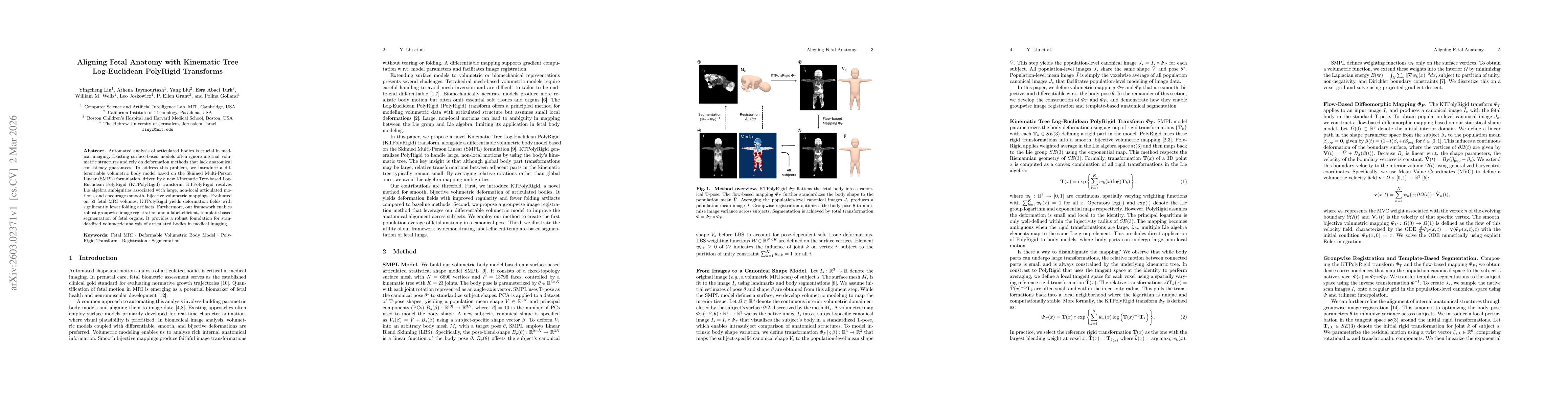 Thumbnail for Aligning Fetal Anatomy with Kinematic Tree Log-Euclidean PolyRigid Transforms