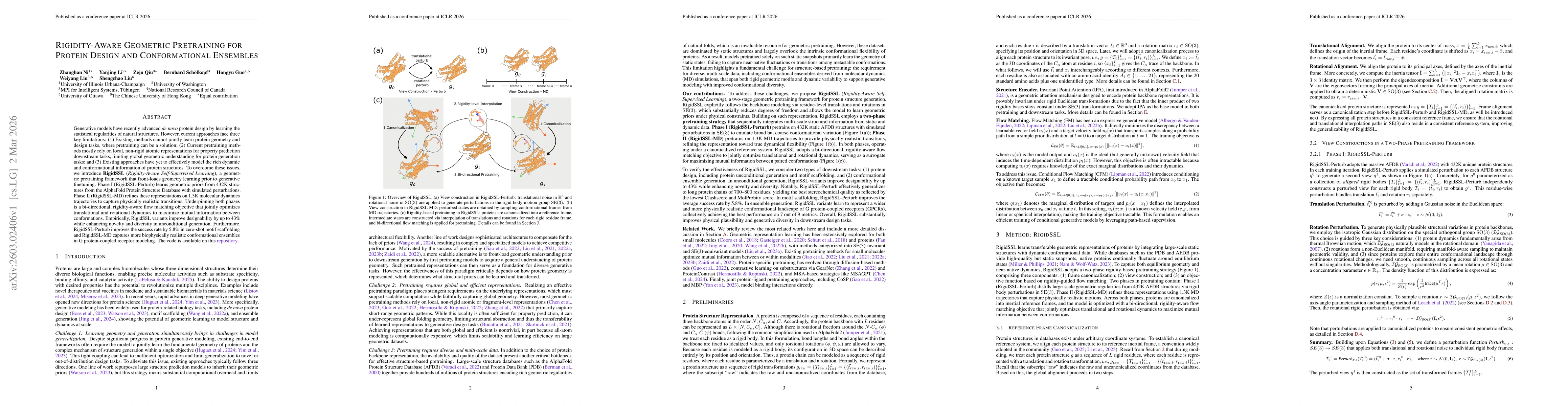 Thumbnail for Rigidity-Aware Geometric Pretraining for Protein Design and Conformational Ensembles
