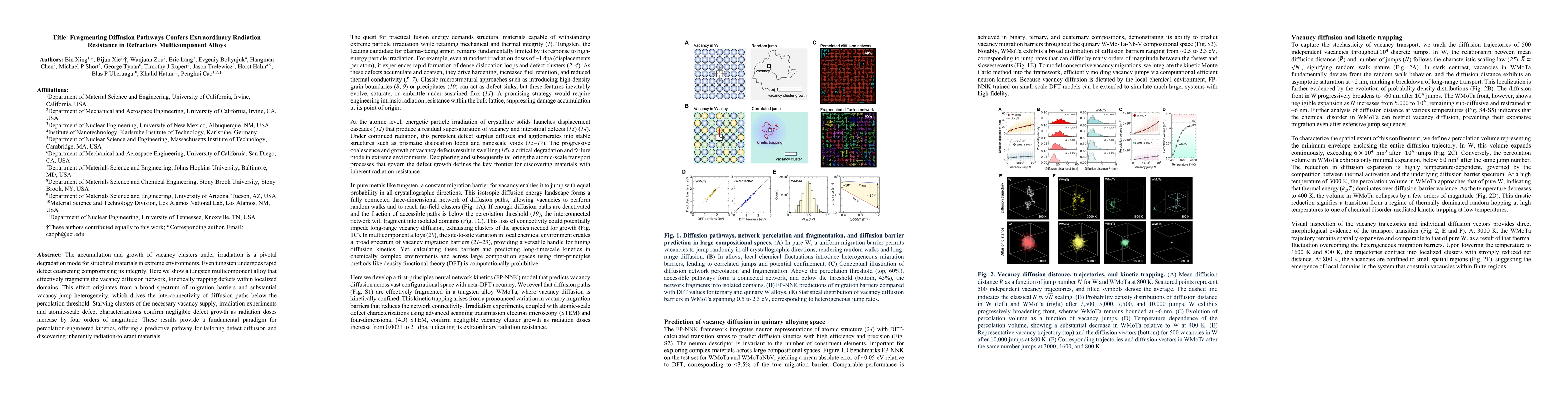 Thumbnail for Fragmenting Diffusion Pathways Confers Extraordinary Radiation Resistance in Refractory Multicomponent Alloys