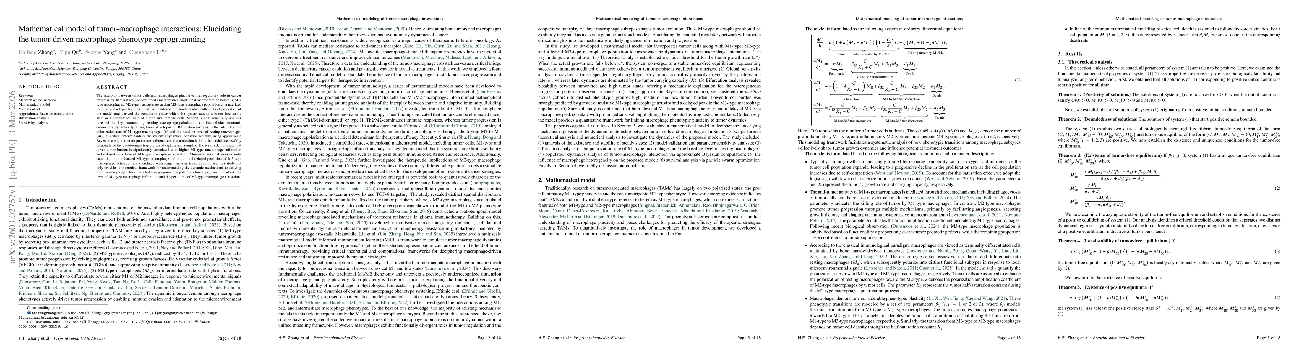 Thumbnail for Mathematical model of tumor-macrophage interactions: Elucidating the tumor-driven macrophage phenotype reprogramming