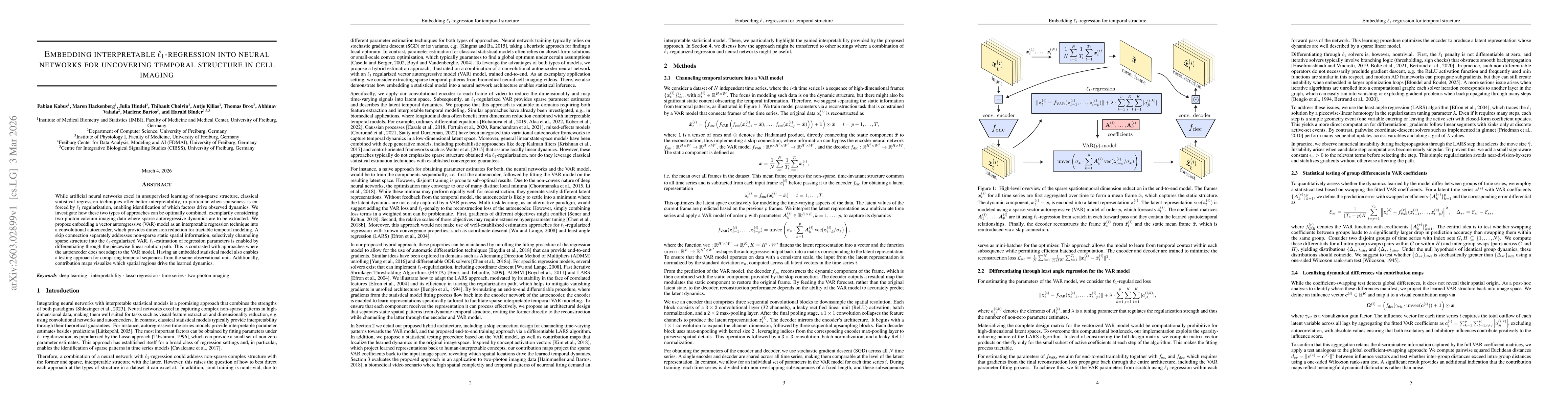 Thumbnail for Embedding interpretable $\ell_1$-regression into neural networks for uncovering temporal structure in cell imaging