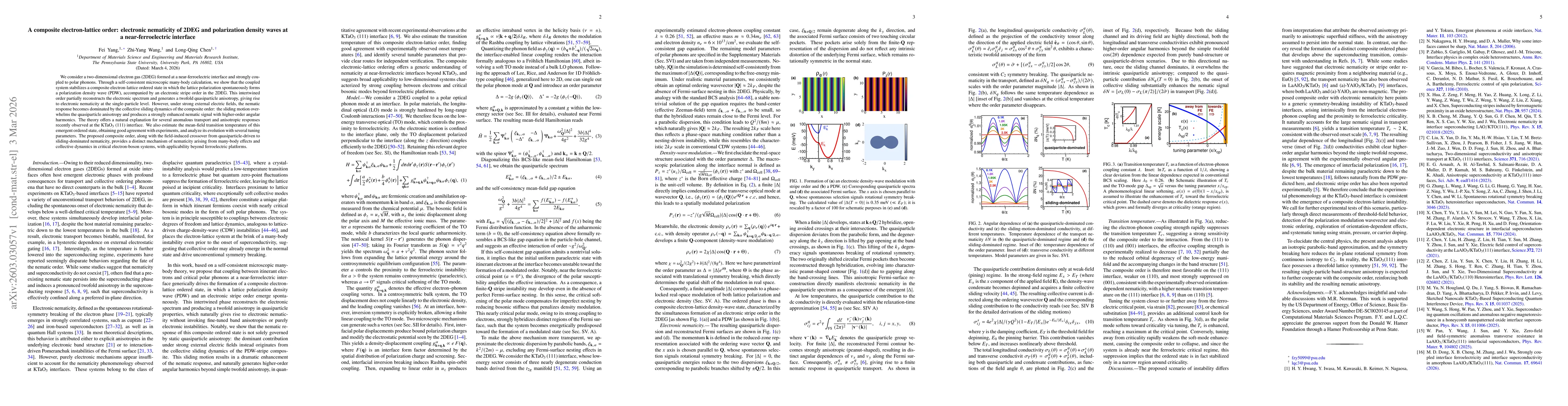 Thumbnail for A composite electron-lattice order: electronic nematicity of 2DEG and polarization density waves at a near-ferroelectric interface