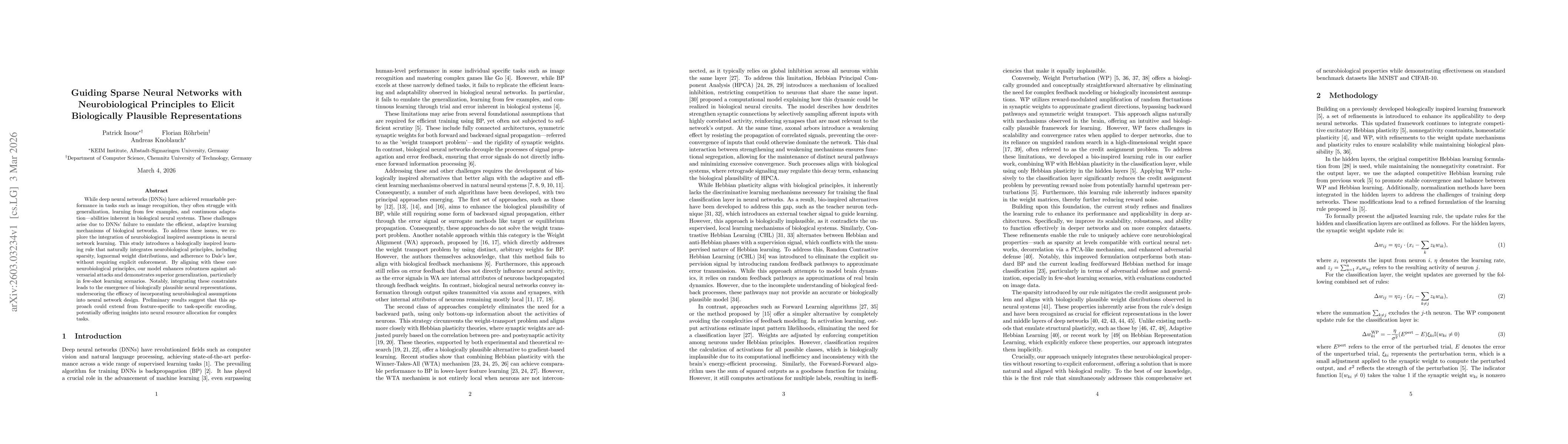 Thumbnail for Guiding Sparse Neural Networks with Neurobiological Principles to Elicit Biologically Plausible Representations