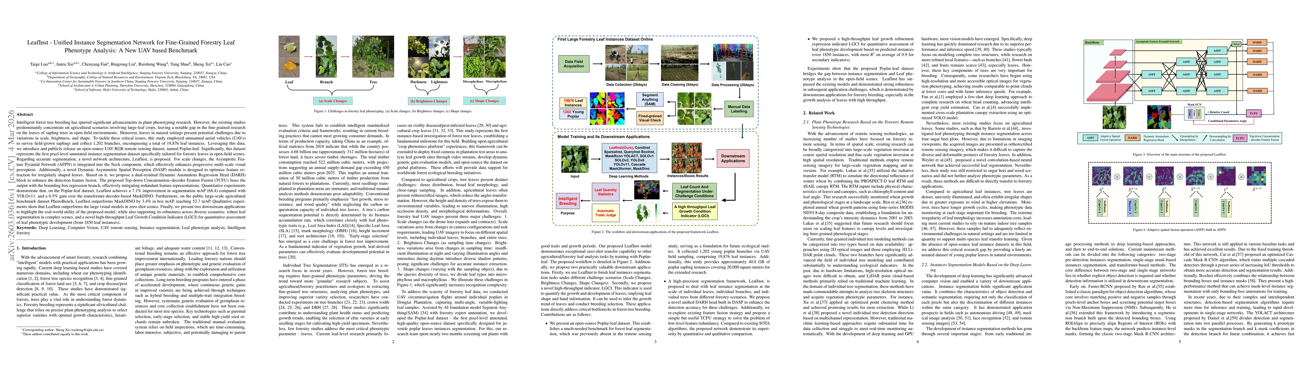 Thumbnail for LeafInst - Unified Instance Segmentation Network for Fine-Grained Forestry Leaf Phenotype Analysis: A New UAV based Benchmark