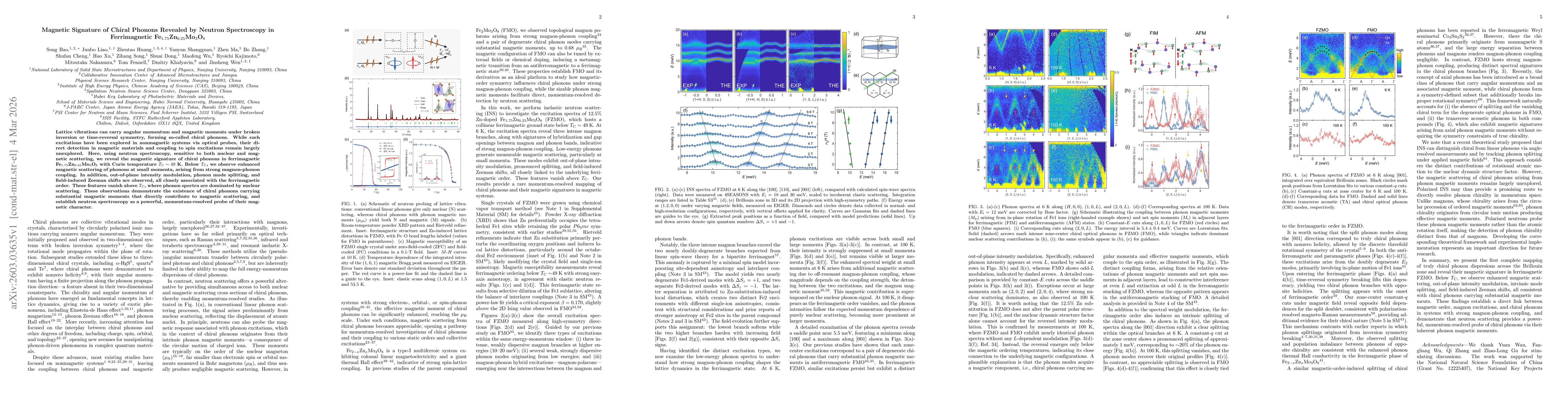Thumbnail for Magnetic Signature of Chiral Phonons Revealed by Neutron Spectroscopy in Ferrimagnetic Fe$_{1.75}$Zn$_{0.25}$Mo$_3$O$_8$