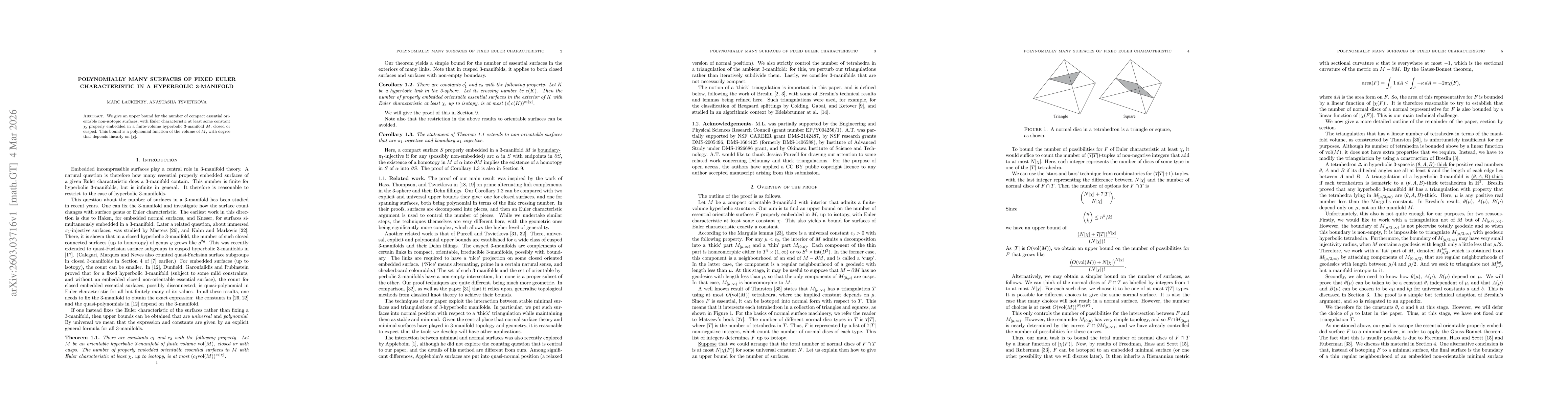 Thumbnail for Polynomially many surfaces of fixed Euler characteristic in a hyperbolic 3-manifold