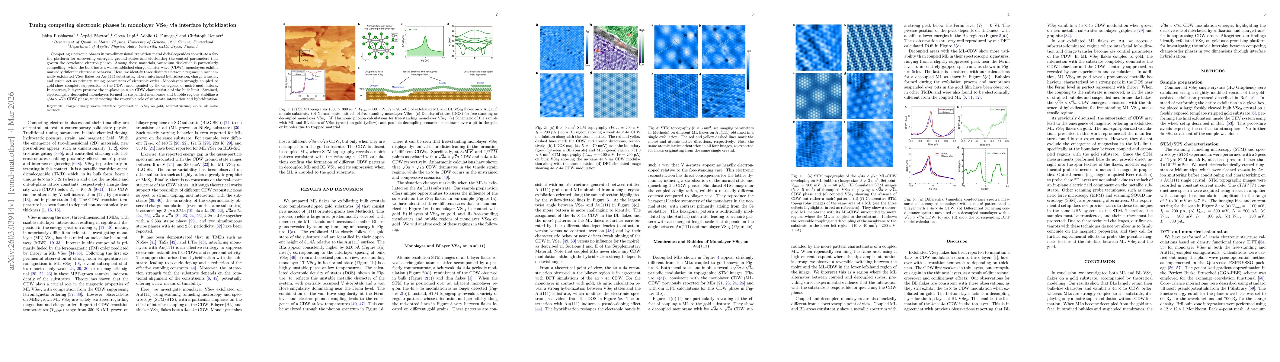 Thumbnail for Tuning competing electronic phases in monolayer VSe$_2$ via interface hybridization