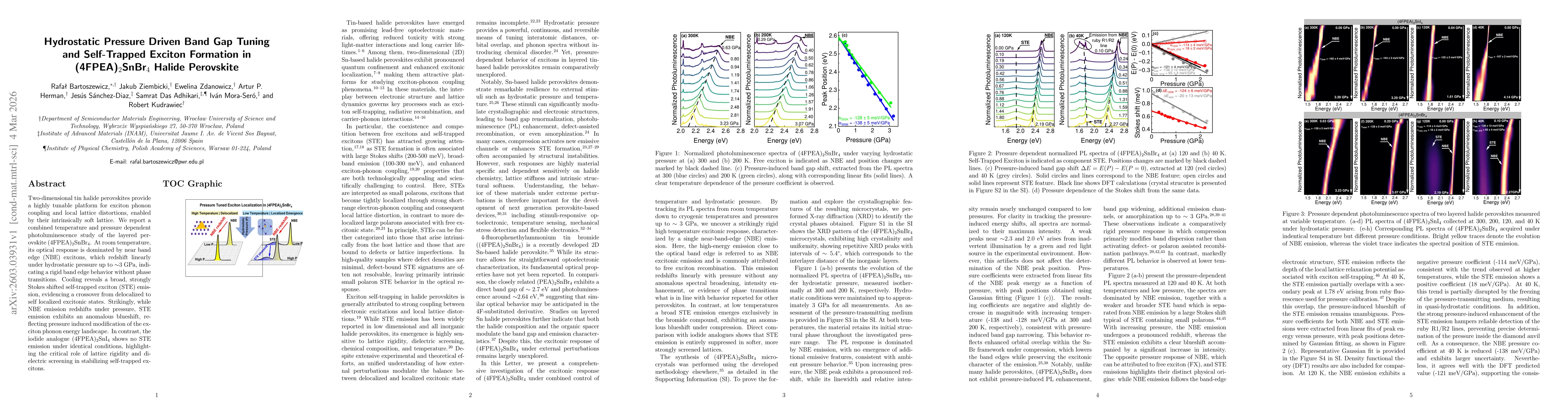 Thumbnail for Hydrostatic Pressure Driven Band Gap Tuning and Self-Trapped Exciton Formation in (4FPEA)$_2$SnBr$_{4}$ Halide Perovskite