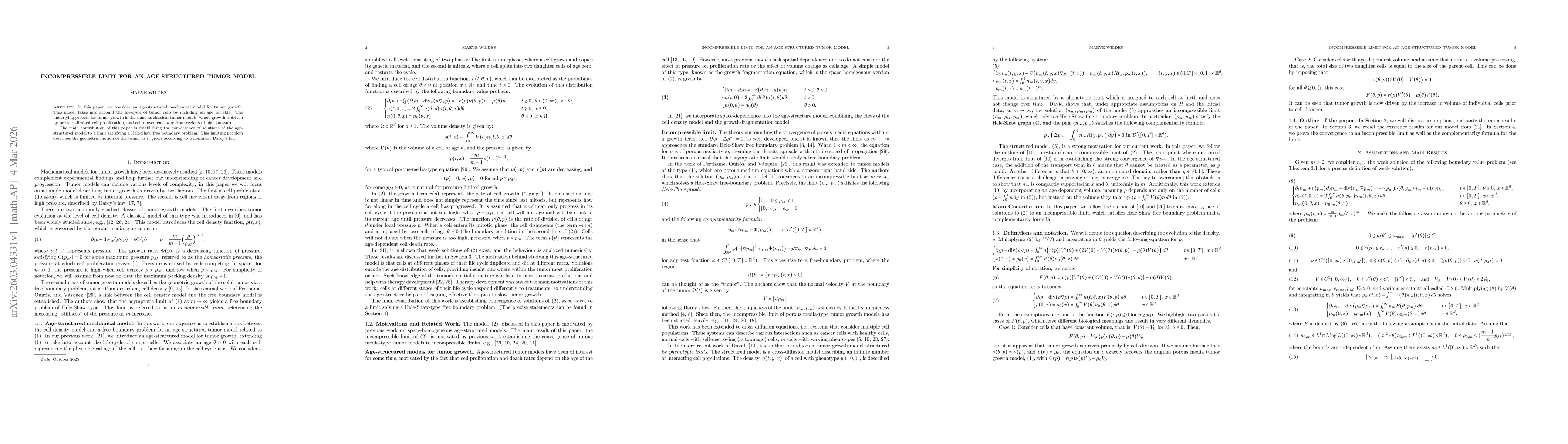 Thumbnail for Incompressible limit for an age-structured tumor model