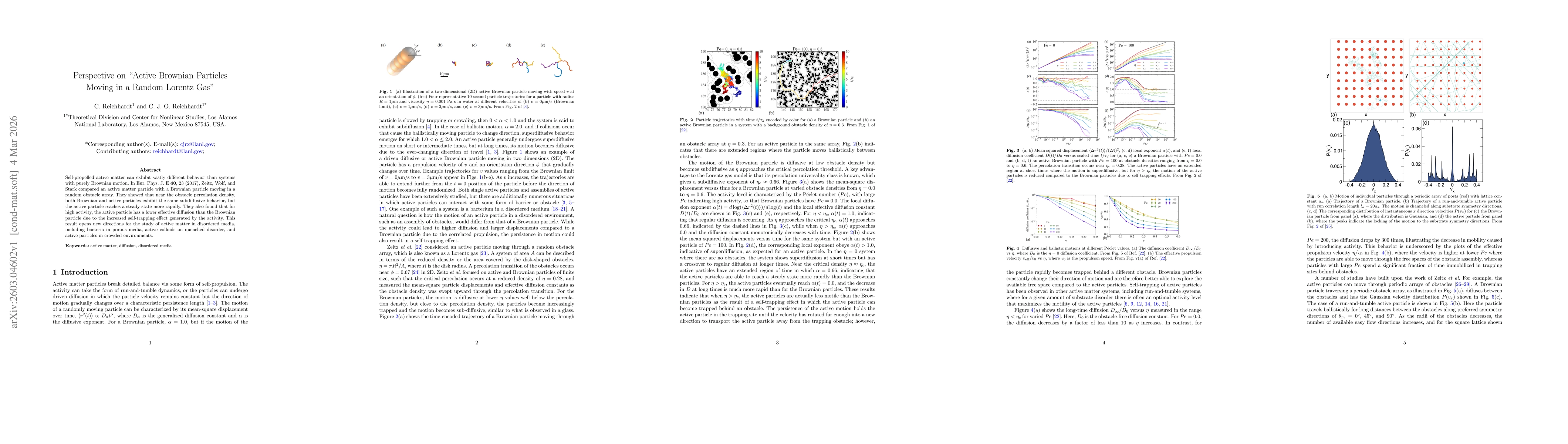 Thumbnail for Perspective on "Active Brownian Particles Moving in a Random Lorentz Gas"