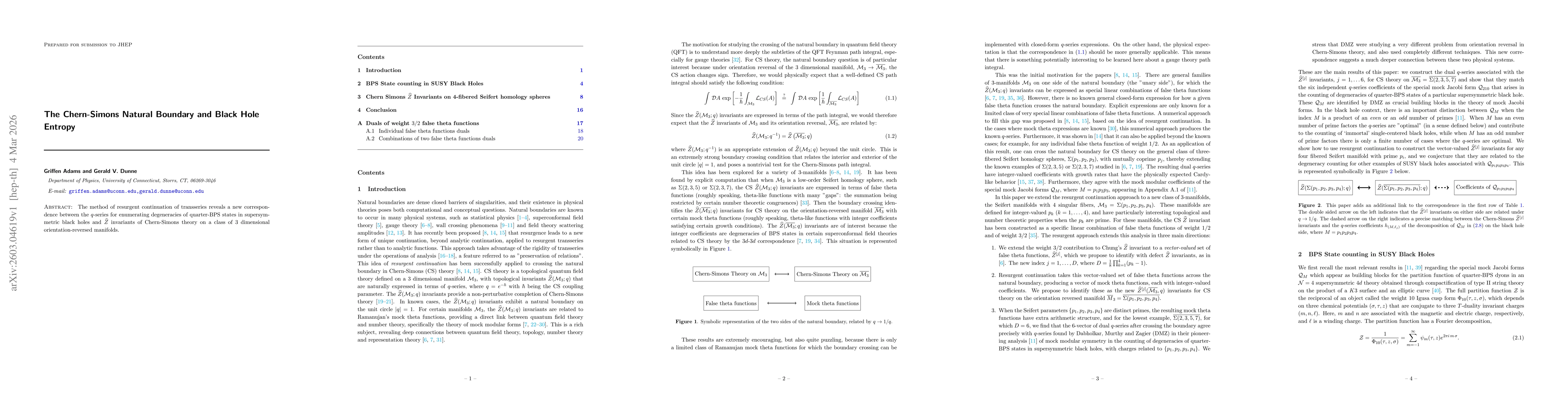 Thumbnail for The Chern-Simons Natural Boundary and Black Hole Entropy