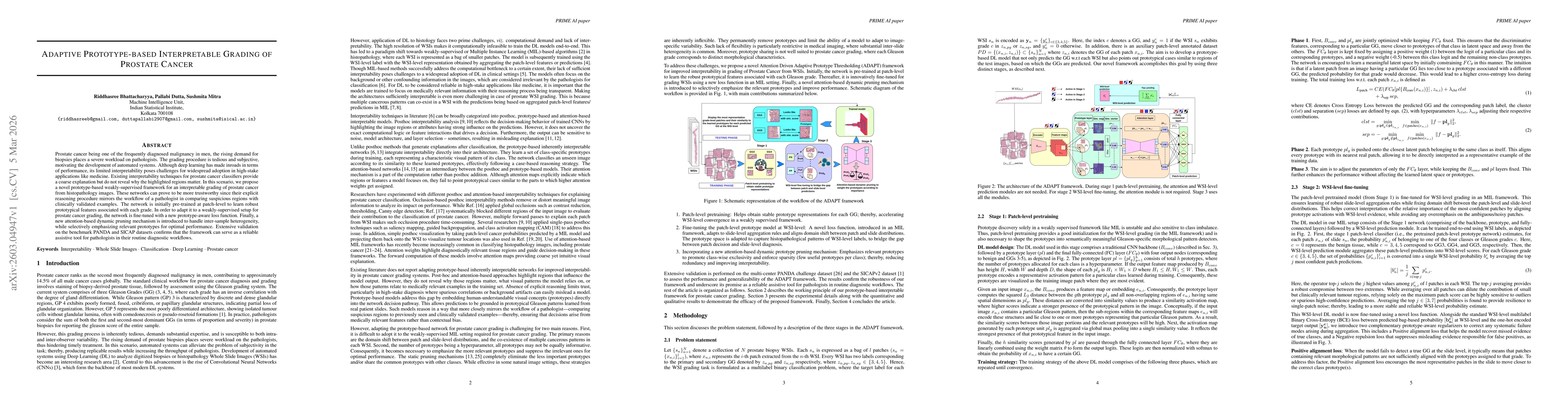 Thumbnail for Adaptive Prototype-based Interpretable Grading of Prostate Cancer