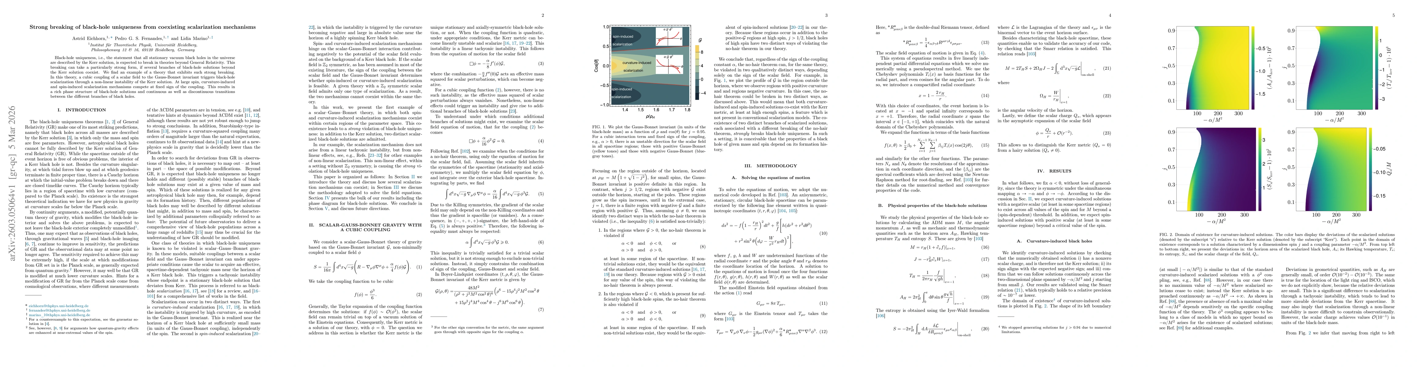 Thumbnail for Strong breaking of black-hole uniqueness from coexisting scalarization mechanisms