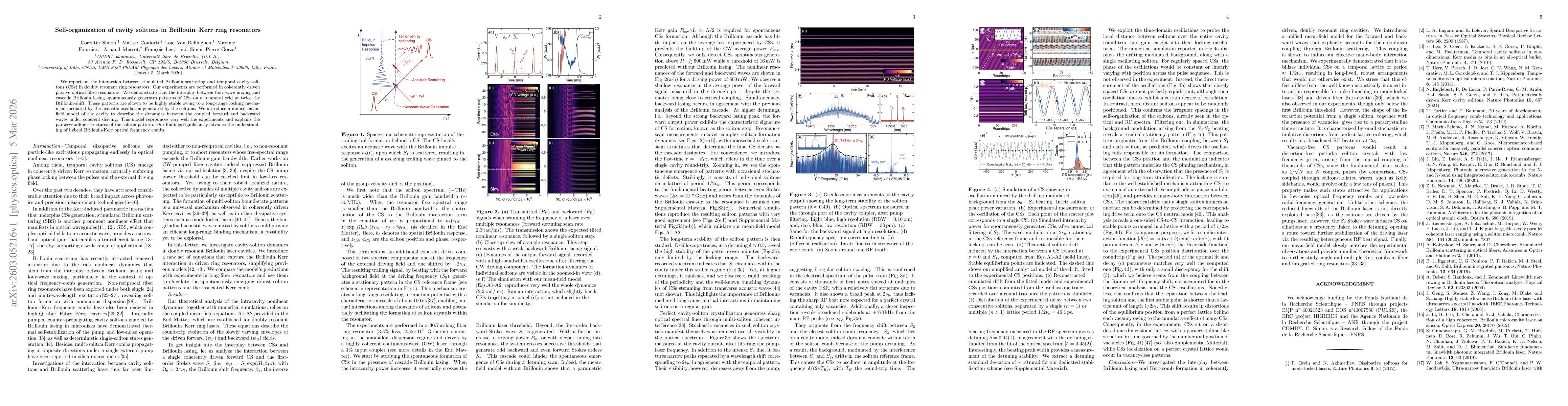 Thumbnail for Self-organization of cavity solitons in Brillouin-Kerr ring resonators