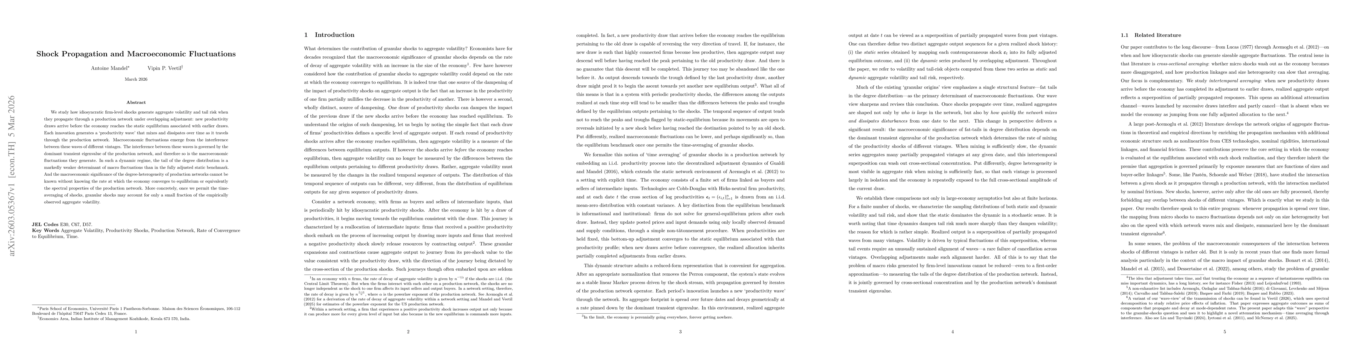 Thumbnail for Shock Propagation and Macroeconomic Fluctuations