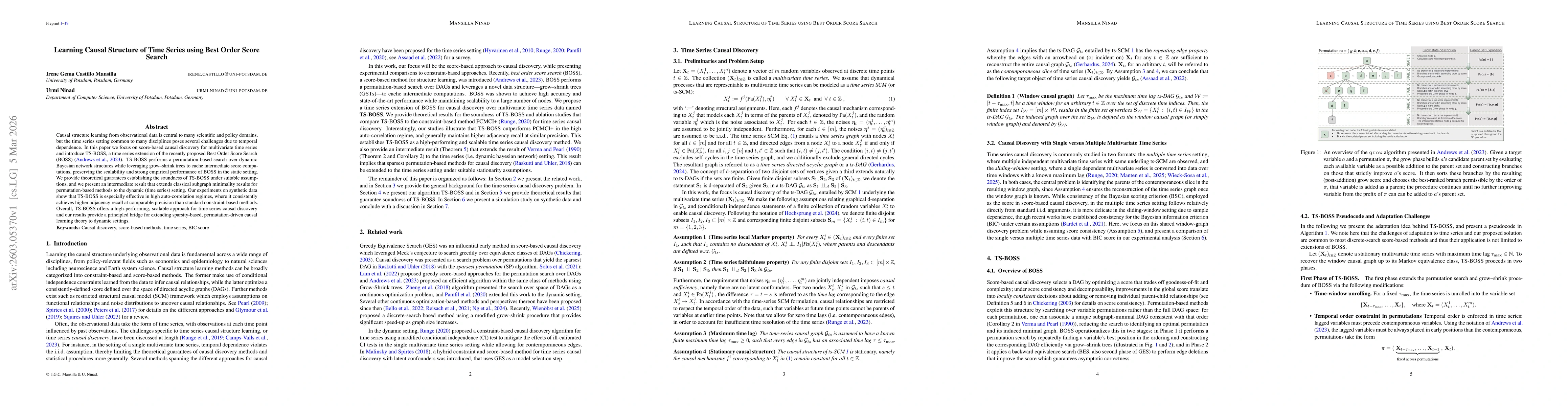 Thumbnail for Learning Causal Structure of Time Series using Best Order Score Search