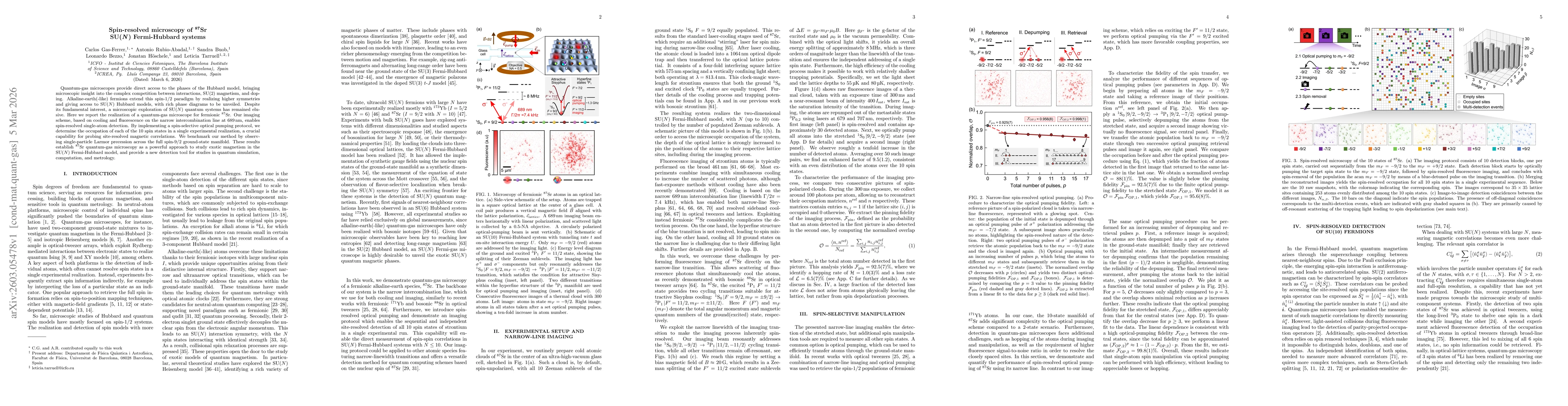 Thumbnail for Spin-resolved microscopy of $^{87}$Sr SU($N$) Fermi-Hubbard systems