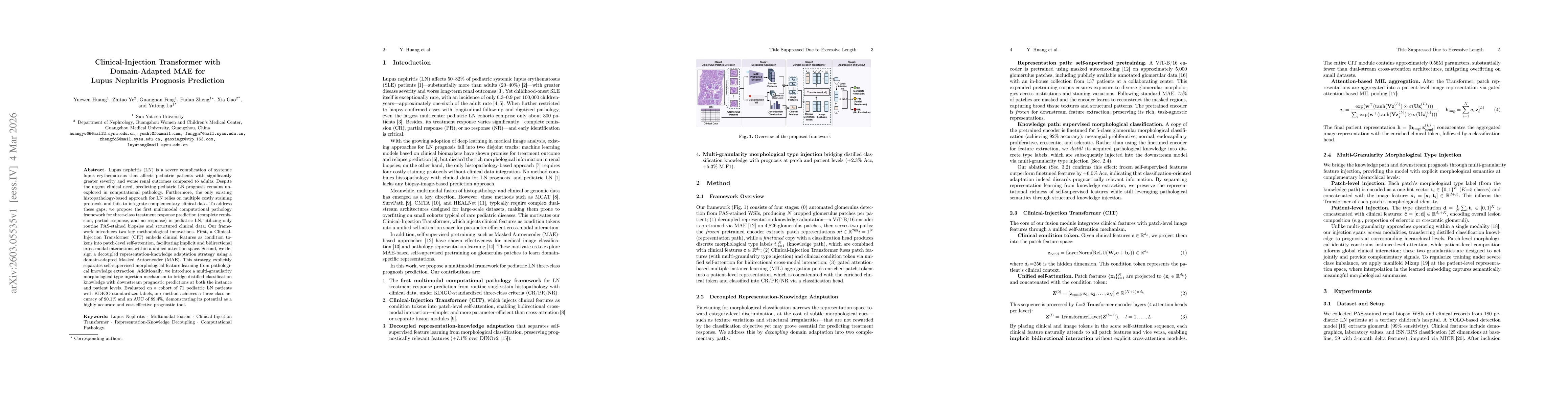 Thumbnail for Clinical-Injection Transformer with Domain-Adapted MAE for Lupus Nephritis Prognosis Prediction