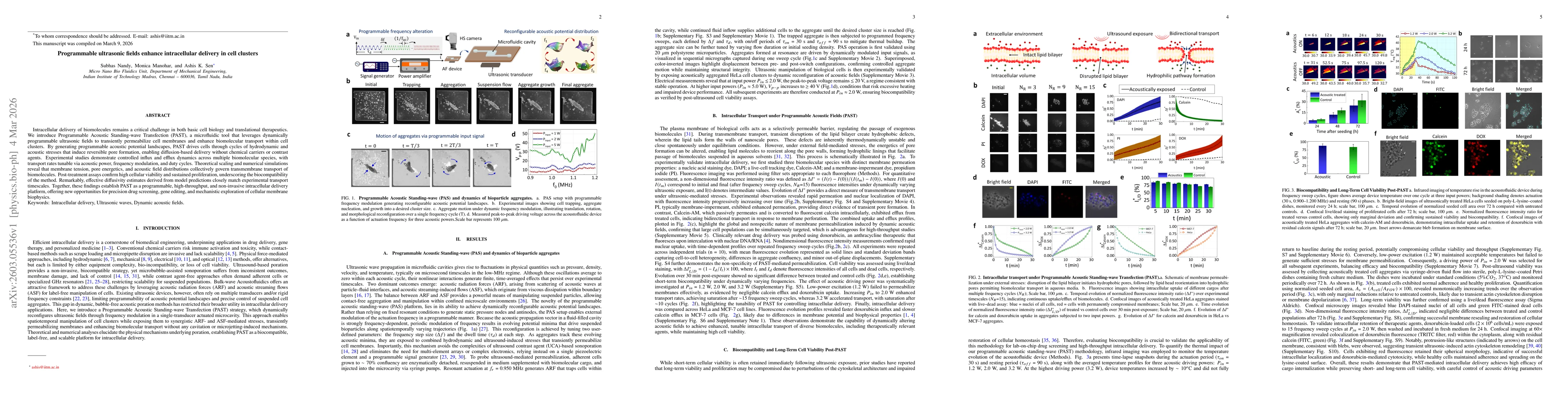 Thumbnail for Programmable ultrasonic fields enhance intracellular delivery in cell clusters