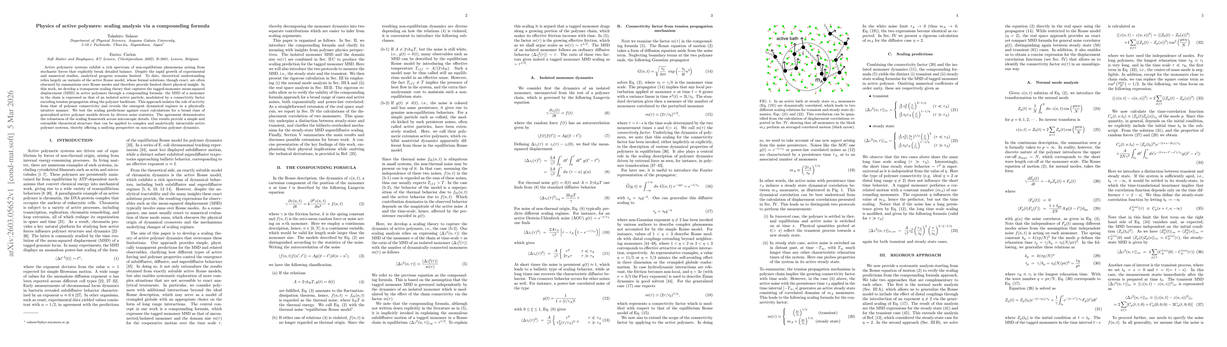 Thumbnail for Physics of active polymers: scaling analysis via a compounding formula