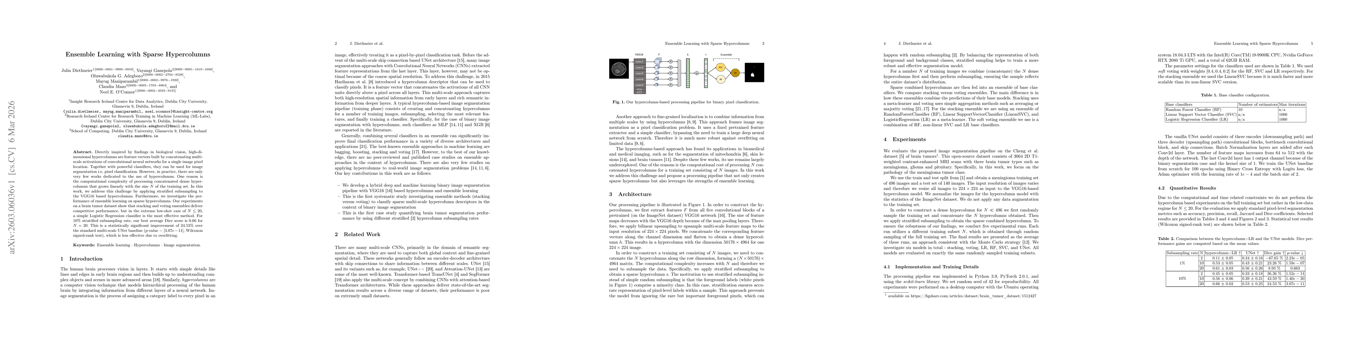 Thumbnail for Ensemble Learning with Sparse Hypercolumns