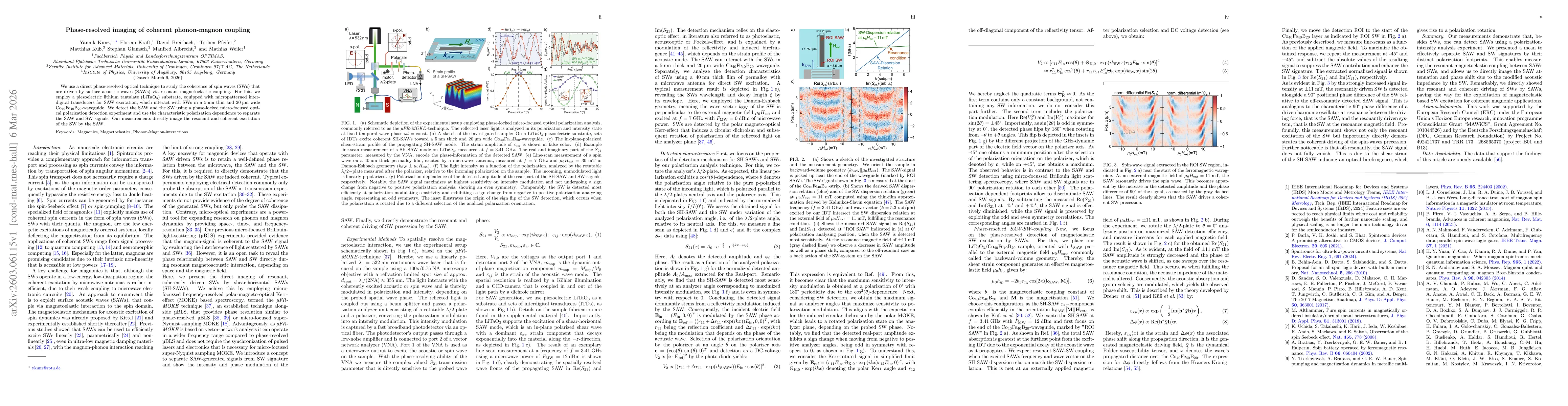 Thumbnail for Phase-resolved imaging of coherent phonon-magnon coupling