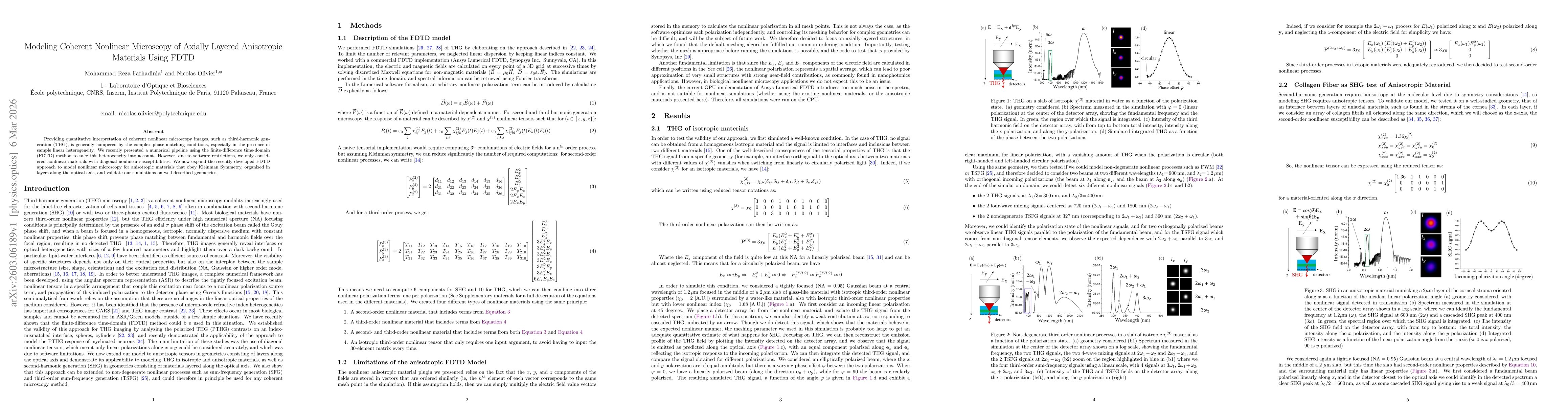Thumbnail for Modeling Coherent Nonlinear Microscopy of Axially Layered Anisotropic Materials Using FDTD