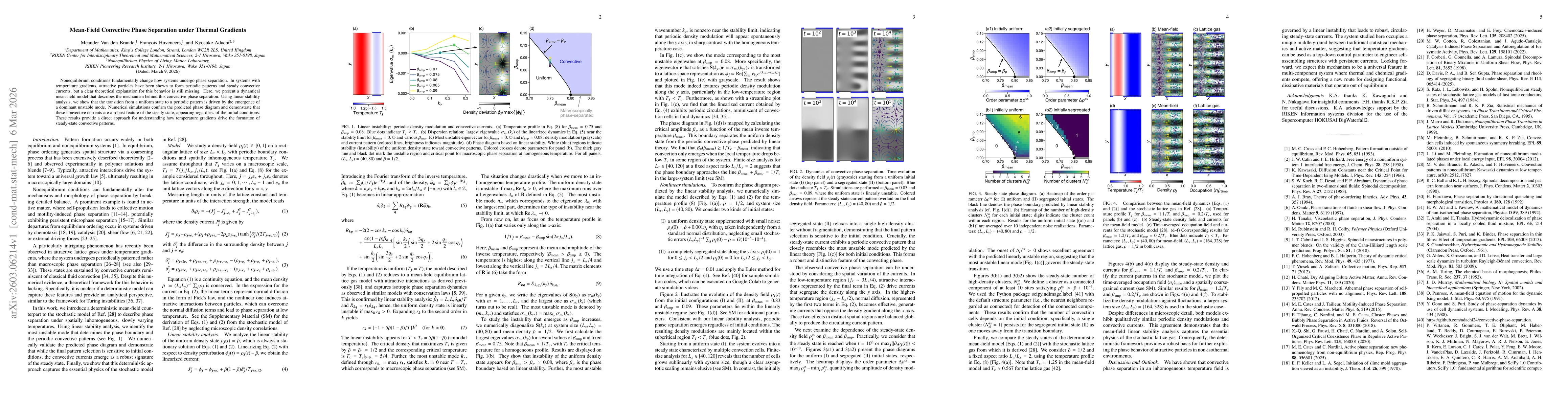 Thumbnail for Mean-Field Convective Phase Separation under Thermal Gradients