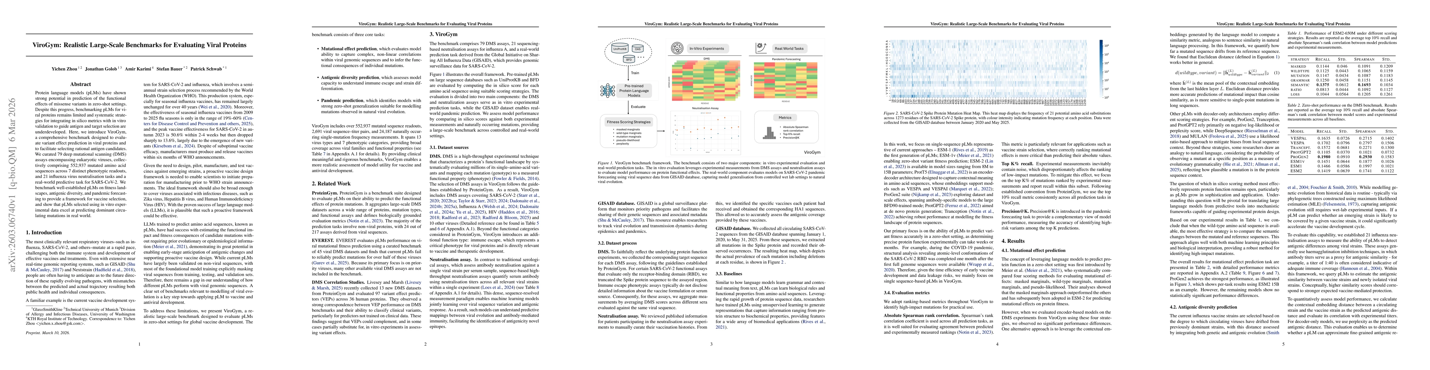 Thumbnail for ViroGym: Realistic Large-Scale Benchmarks for Evaluating Viral Proteins