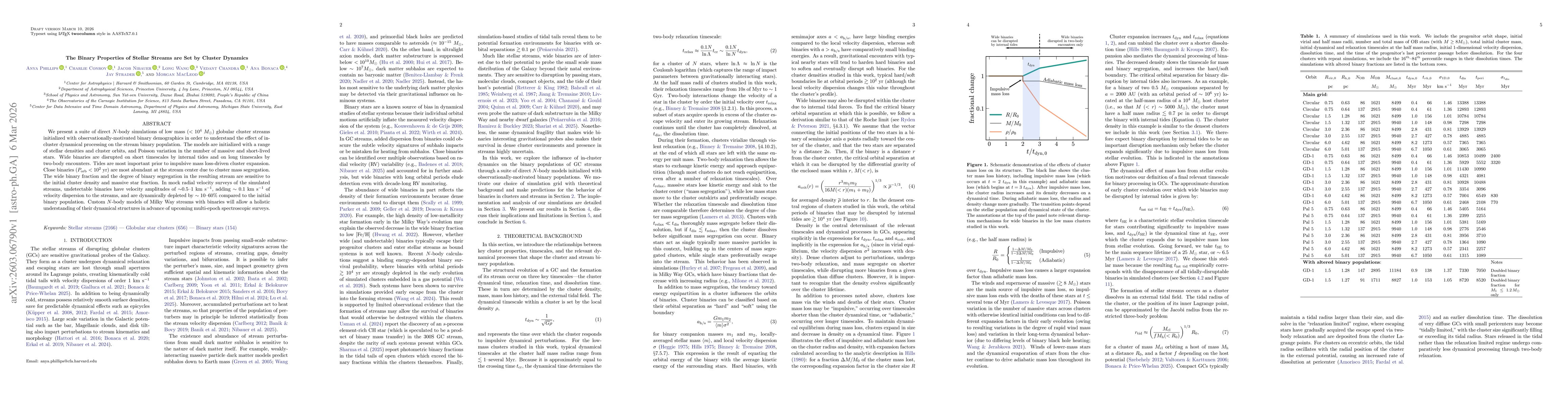 Thumbnail for The Binary Populations of Stellar Streams are Set by Cluster Dynamics