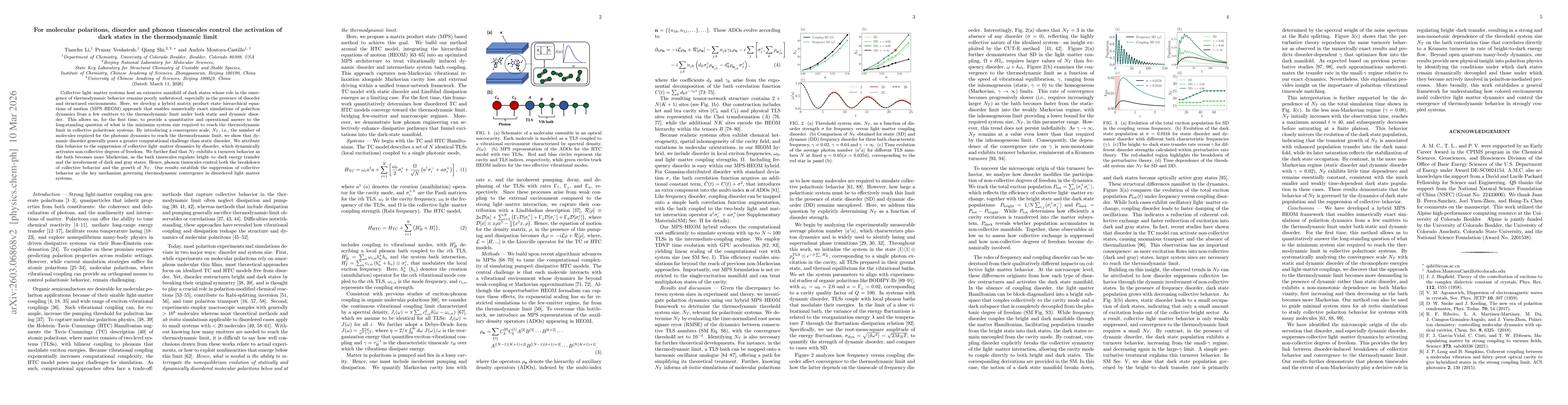 Thumbnail for For molecular polaritons, disorder and phonon timescales control the activation of dark states in the thermodynamic limit