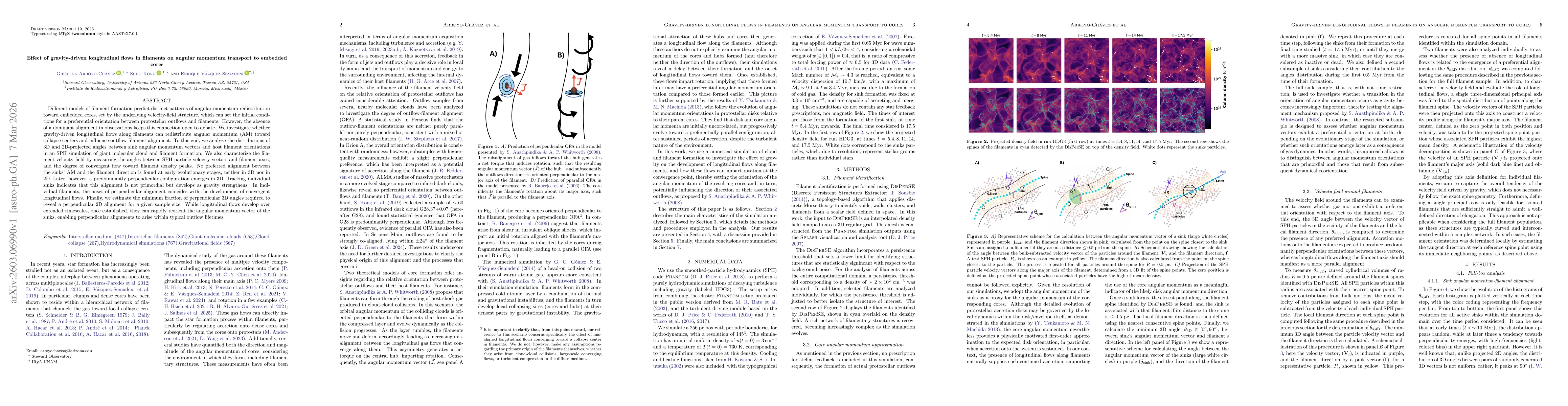 Thumbnail for Effect of gravity-driven longitudinal flows in filaments on angular momentum transport to embedded cores