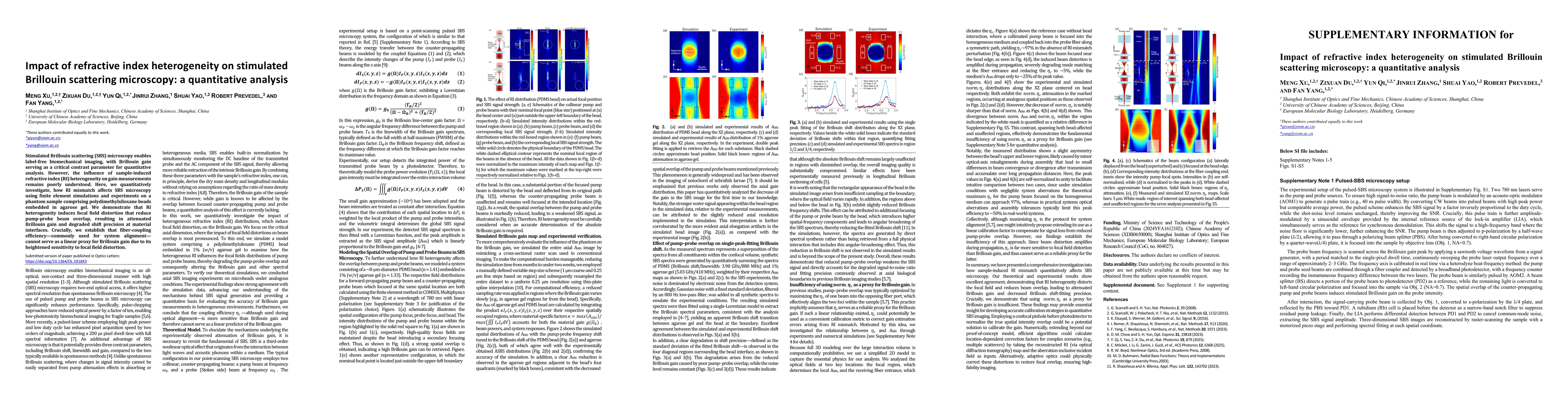 Thumbnail for Impact of refractive index heterogeneity on stimulated Brillouin scattering microscopy: a quantitative analysis