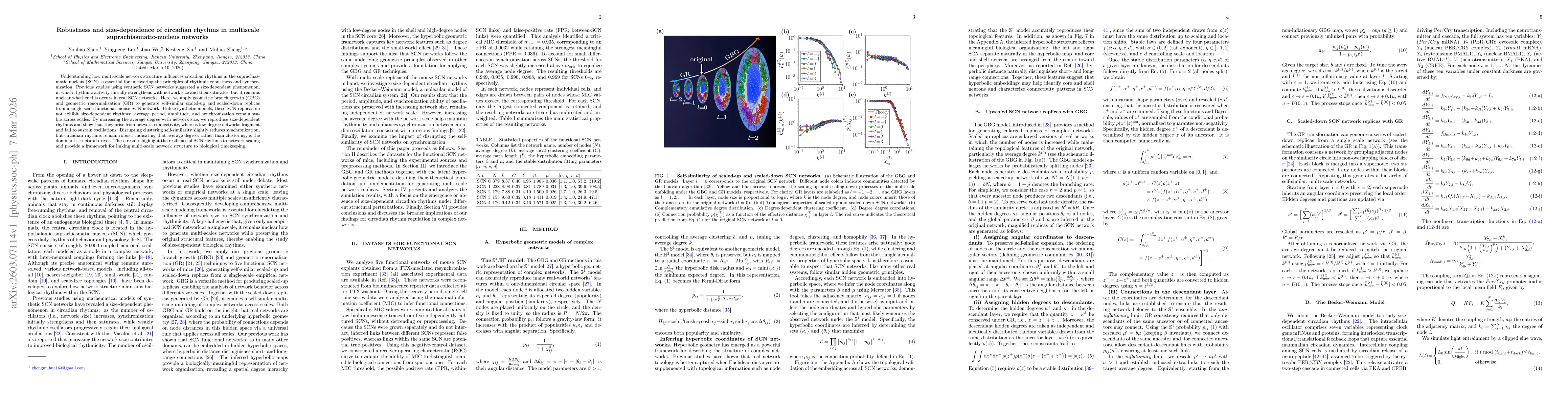 Thumbnail for Robustness and size-dependence of circadian rhythms in multiscale suprachiasmatic-nucleus networks