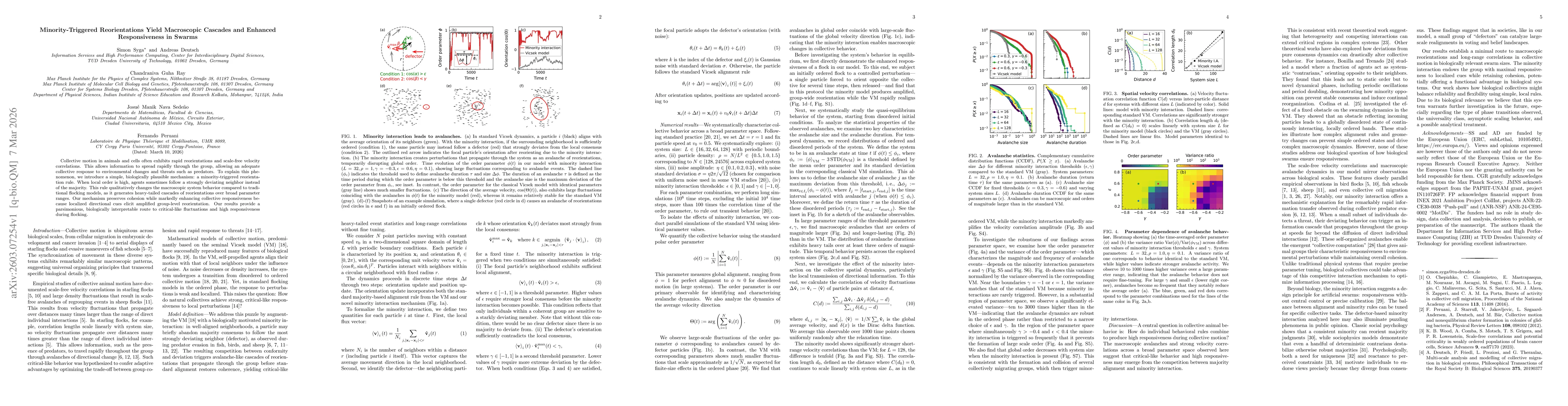 Thumbnail for Minority-Triggered Reorientations Yield Macroscopic Cascades and Enhanced Responsiveness in Swarms