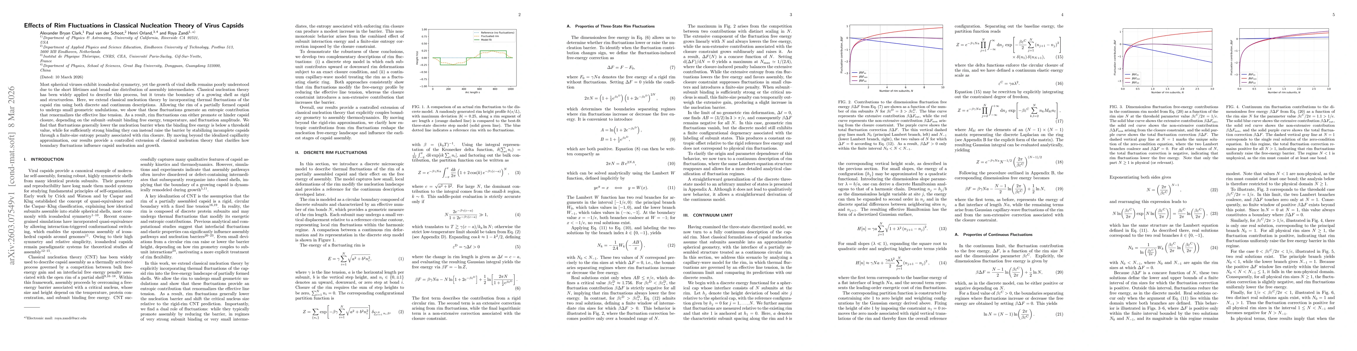 Thumbnail for Effects of Rim Fluctuations in Classical Nucleation Theory of Virus Capsids
