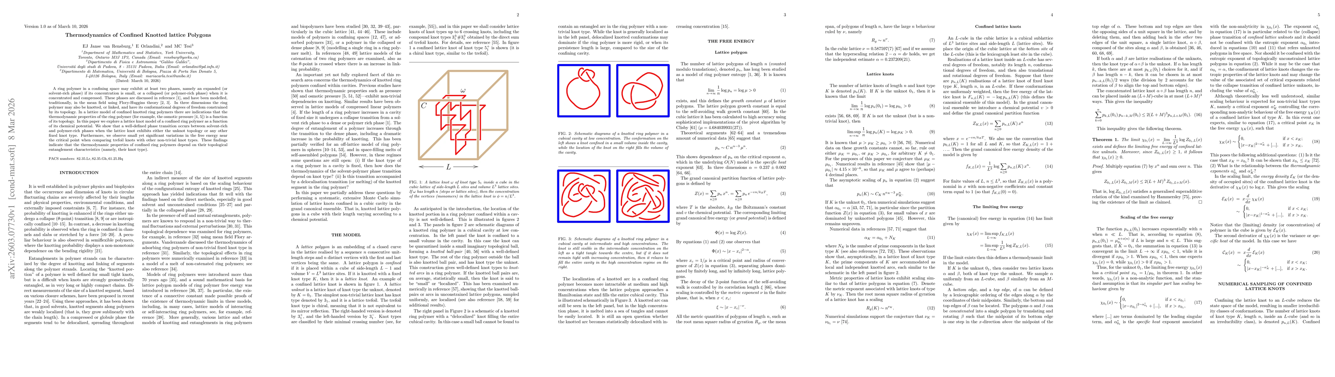 Thumbnail for Thermodynamics of Confined Knotted lattice Polygons