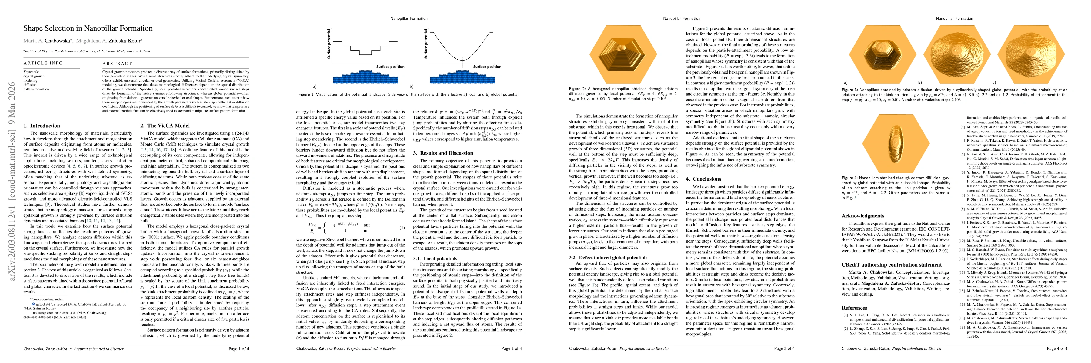 Thumbnail for Shape Selection in Nanopillar Formation