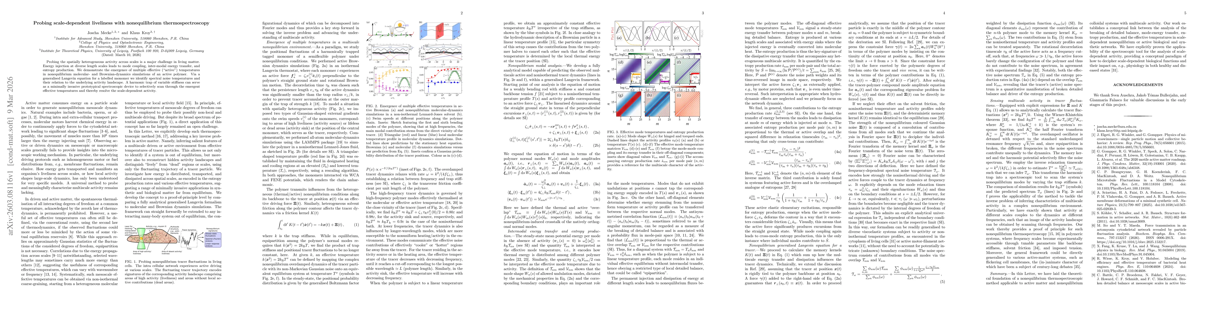 Thumbnail for Probing scale-dependent liveliness with nonequilibrium thermospectroscopy