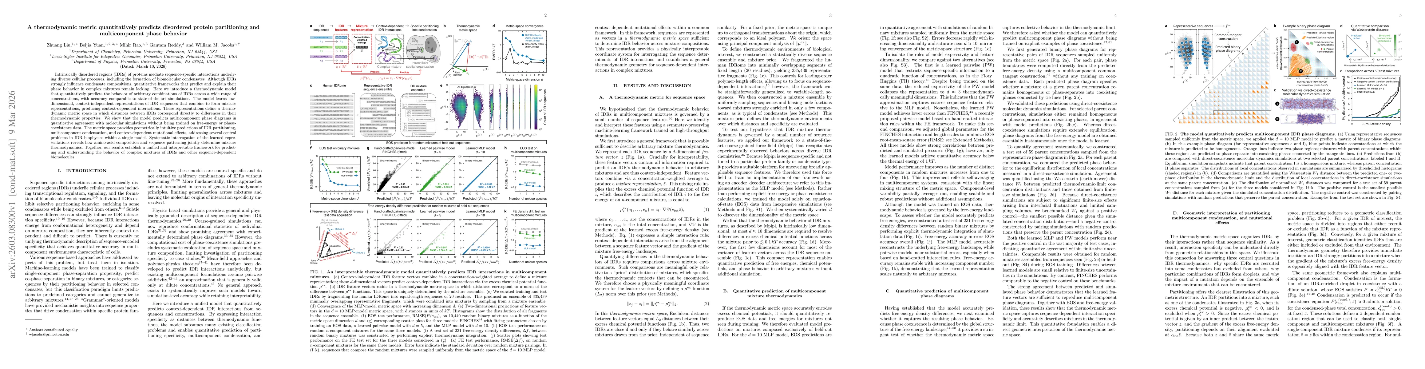 Thumbnail for A thermodynamic metric quantitatively predicts disordered protein partitioning and multicomponent phase behavior